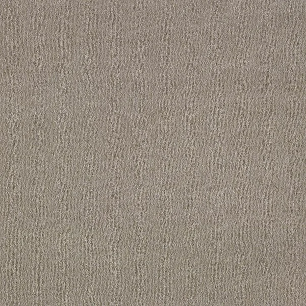 Ковровое покрытие AW Orseis 40 - (4м) в Воронеже