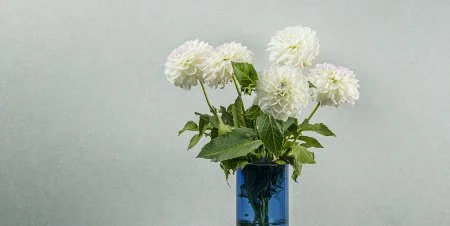 Обои Loymina Shade vol.2 SDR5, 001 в Воронеже