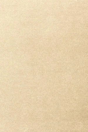 Ковровое покрытие AW Oinone 33 - (4м) в Воронеже