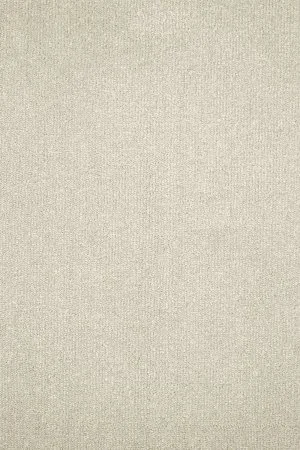 Ковровое покрытие AW Prima 30 - (4м) в Воронеже