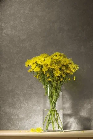 Обои Loymina Golden Library TDG 7, 008 в Воронеже