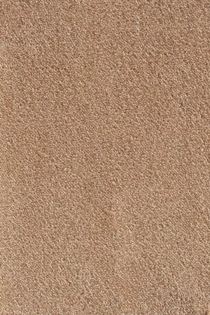 Ковровое покрытие AW Messalina 38 - (5м) в Воронеже