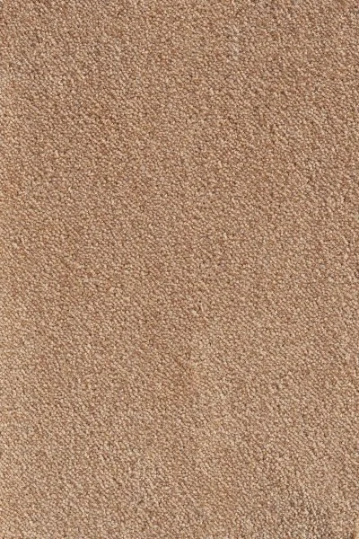 Ковровое покрытие AW Messalina 38 - (5м) в Воронеже