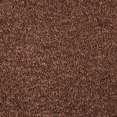 Ковровое покрытие AW Kiama 48 - (4м) в Воронеже