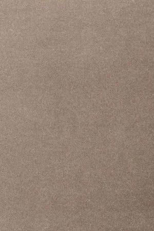 Ковровое покрытие AW Oinone 49 - (4м) в Воронеже