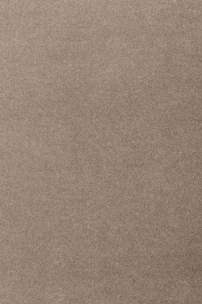 Ковровое покрытие AW Oinone 49 - (5м) в Воронеже