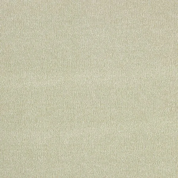 Ковровое покрытие AW Orseis 20 - (4м) в Воронеже