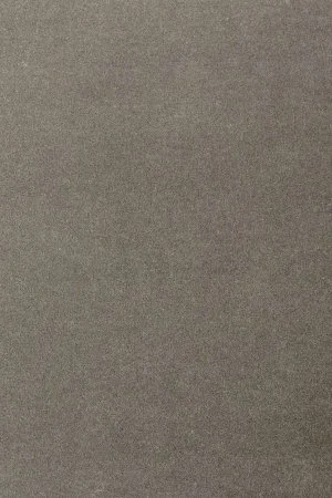 Ковровое покрытие AW Oinone 95 - (4м) в Воронеже