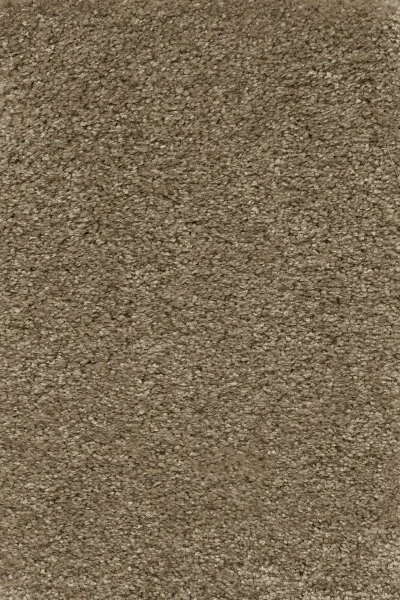 Ковровое покрытие AW Certosa 35 - (5м) в Воронеже