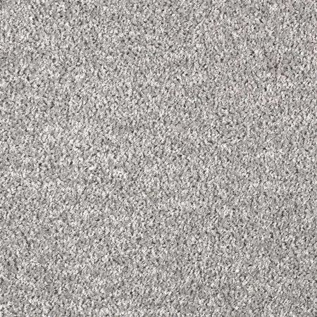 Ковровое покрытие AW Kiama 97 - (4м) в Воронеже