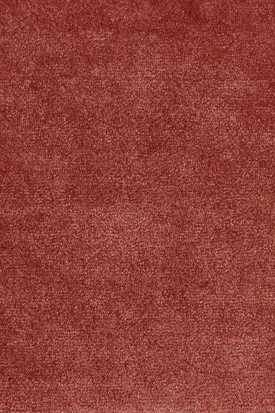 Ковровое покрытие AW Omphale 10 - (5м) в Воронеже