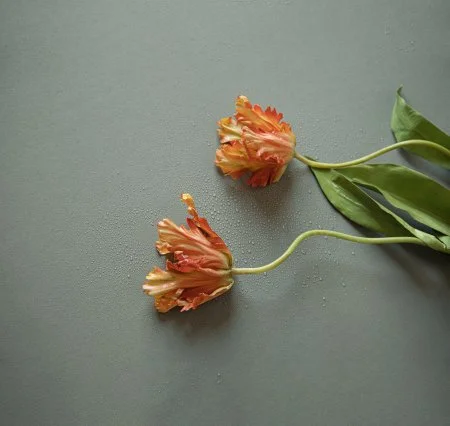 Обои Loymina Russian Classic Ru10, 006 в Воронеже