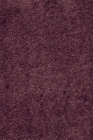 Ковровое покрытие AW Fedone 19 - (5м) в Воронеже