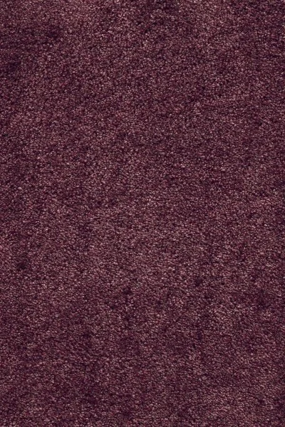 Ковровое покрытие AW Fedone 19 - (5м) в Воронеже