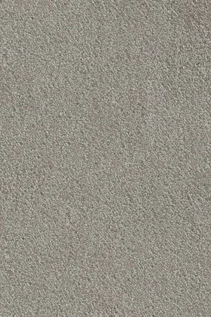 Ковровое покрытие AW Messalina 9 - (5м) в Воронеже