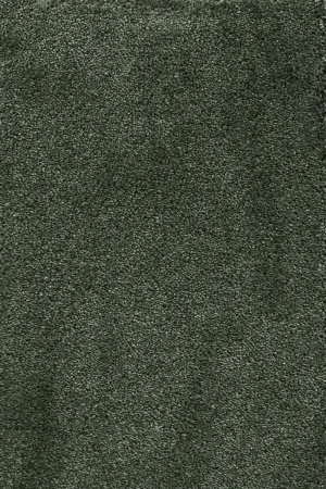 Ковровое покрытие AW Fedone 24 - (5м) в Воронеже