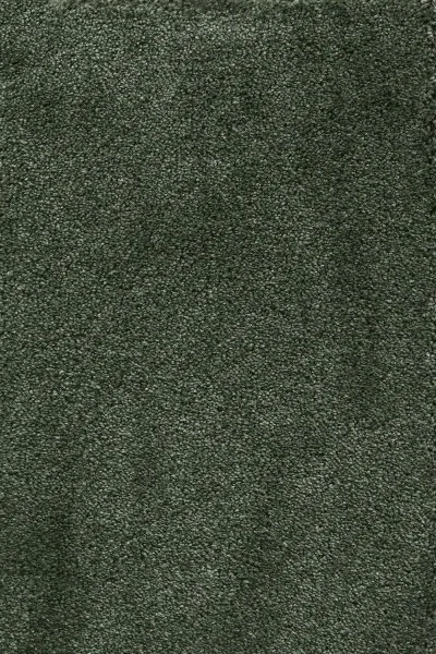 Ковровое покрытие AW Fedone 24 - (5м) в Воронеже