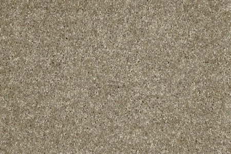 Ковровое покрытие AW Gala 33 - (4м) в Воронеже