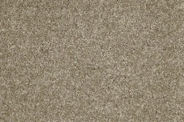 Ковровое покрытие AW Gala 33 - (4м) в Воронеже