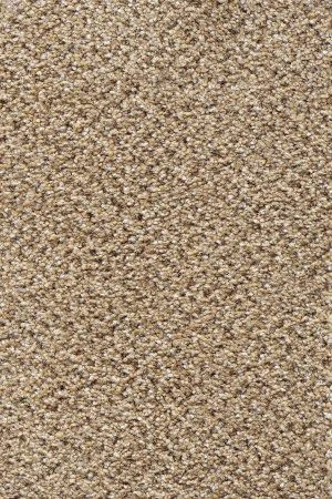 Ковровое покрытие AW Stainaway Tweed 50 - (4м) в Воронеже