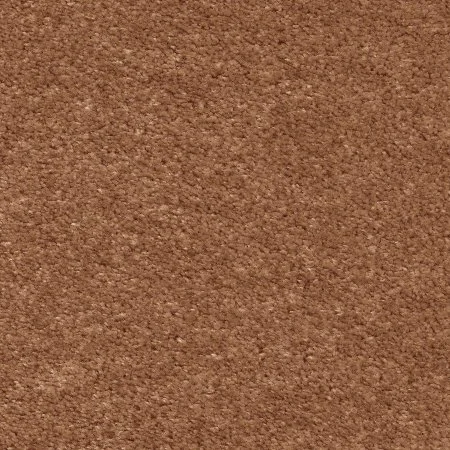 Ковровое покрытие AW Euphoria 84 - (4м) в Воронеже