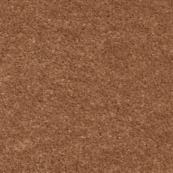 Ковровое покрытие AW Euphoria 84 - (5м) в Воронеже