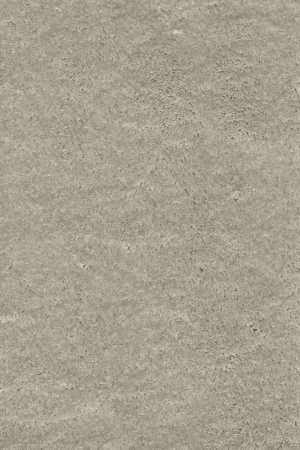 Ковровое покрытие AW Fedone 90 - (5м) в Воронеже