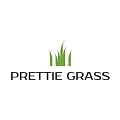 Искусственная трава Prettie Grass в Воронеже