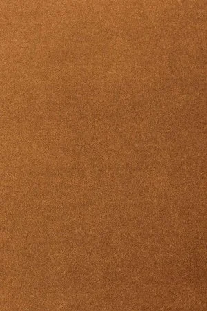 Ковровое покрытие AW Oinone 84 - (5м) в Воронеже