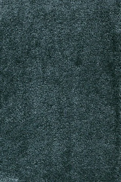 Ковровое покрытие AW Fedone 28 - (4м) в Воронеже