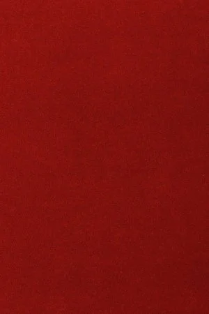 Ковровое покрытие AW Oinone 10 - (4м) в Воронеже