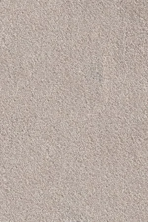 Ковровое покрытие AW Messalina 37 - (4м) в Воронеже