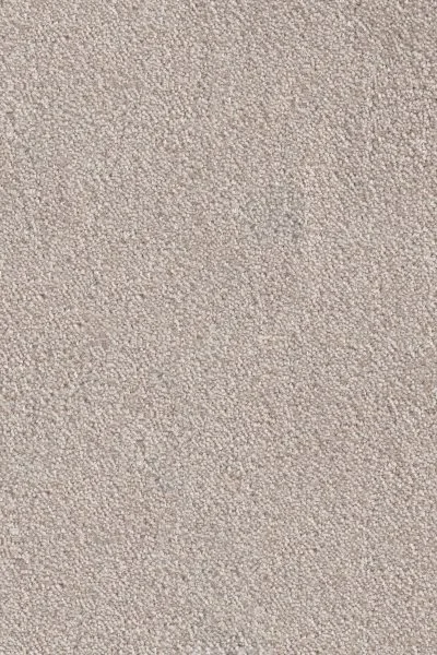 Ковровое покрытие AW Messalina 37 - (4м) в Воронеже