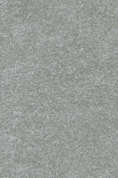 Ковровое покрытие AW Euphoria 75 - (5м) в Воронеже