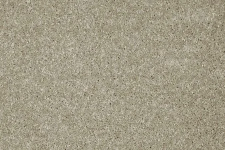 Ковровое покрытие AW Gala 03 - (4м) в Воронеже