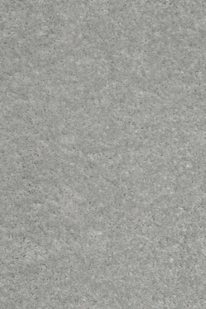 Ковровое покрытие AW Euphoria 92 - (5м) в Воронеже