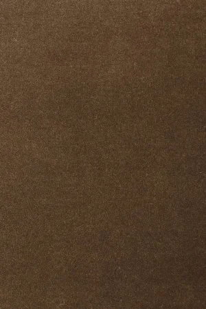 Ковровое покрытие AW Oinone 44 - (5м) в Воронеже