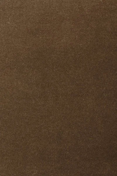 Ковровое покрытие AW Oinone 44 - (5м) в Воронеже