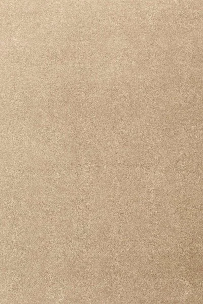 Ковровое покрытие AW Oinone 36 - (4м) в Воронеже