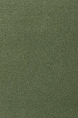 Ковровое покрытие AW Oinone 24 - (5м) в Воронеже