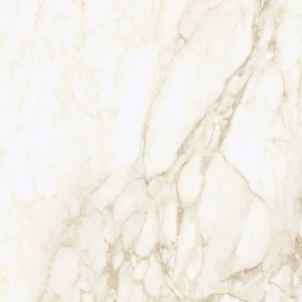 Керамогранит Coliseum Микеланджело Ворм 60х60 (Натуральный и Реттифицированный) в Воронеже