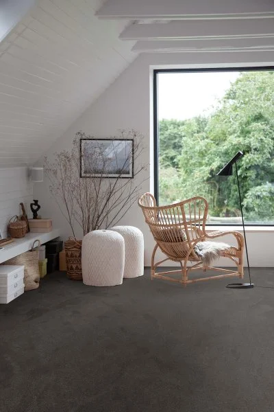 Ковровое покрытие AW Ganges 99 - (4м) в Воронеже