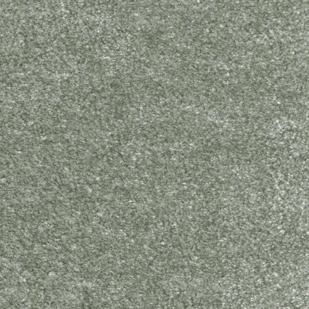 Ковровое покрытие AW Euphoria 28 - (4м) в Воронеже