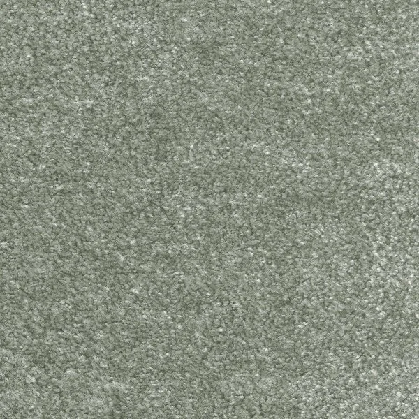 Ковровое покрытие AW Euphoria 28 - (5м) в Воронеже