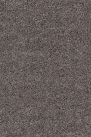 Ковровое покрытие AW Euphoria 45 - (5м) в Воронеже