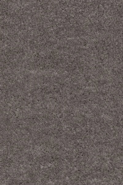 Ковровое покрытие AW Euphoria 45 - (4м) в Воронеже