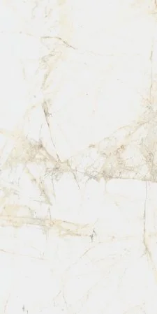 Керамогранит Coliseum Канова Уайт 60х120 (Натуральный и Реттифицированный) в Воронеже