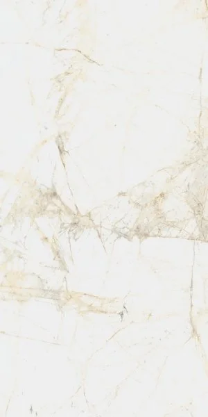 Керамогранит Coliseum Канова Уайт 60х120 (Натуральный и Реттифицированный) в Воронеже