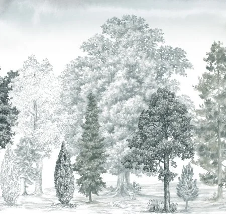 Обои Loymina Пейзаж vol. 2 ART14 011 в Воронеже