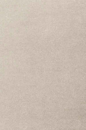 Ковровое покрытие AW Oinone 39 - (4м) в Воронеже